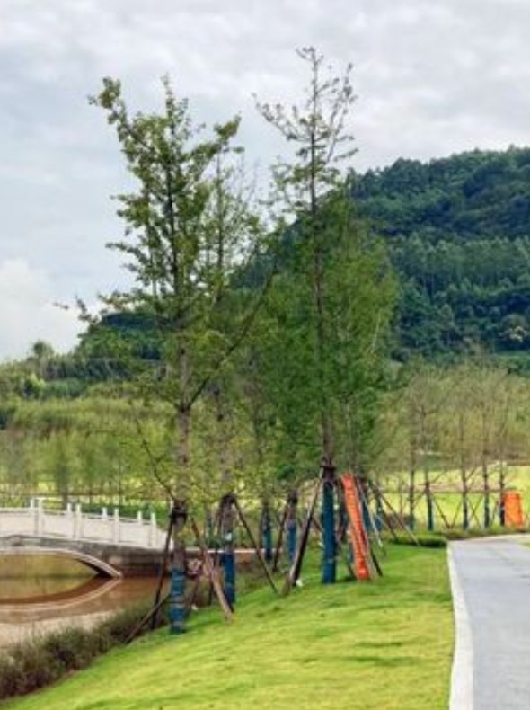 玉湖生態文化園